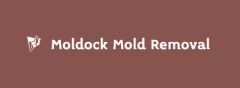 Moldock Mold Removal